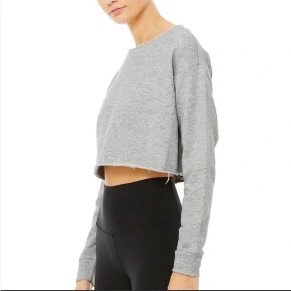 Alo Yoga Gray Cropped Long Sleeve Top